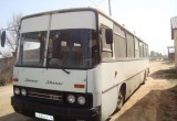 Автобус Икарус Апалон