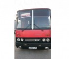 Автобус Икарус 250-59ПЕ б/у, 1995 г. в. - Клин