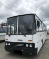 Автобус Икарус 256 б/у 2001 года - Краснодар