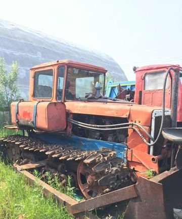 на фото: Продам трактор ДТ-75, Нижневартовск