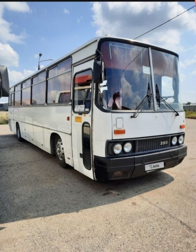 на фото: Продам Междугородний / Пригородный автобус Ikarus 256, 1992