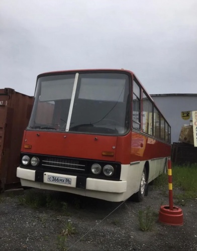 на фото: Продам автобус Икарус 255, 1980 г.в. б/у, Сургут